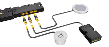 Adaptador, para conectar los consumidores Häfele Loox a la fuente de alimentación Häfele Loox5 12 V