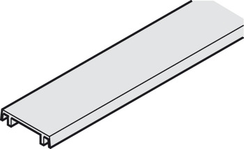 Perfil de enganche, para carril de montaje y carril de deslizamiento doble, 25 x 6 mm (ancho x alto)