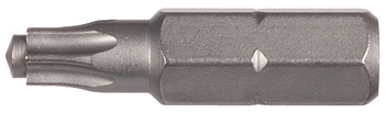 IS-(torx-)bit, Längd 25 mm, med styrtappar